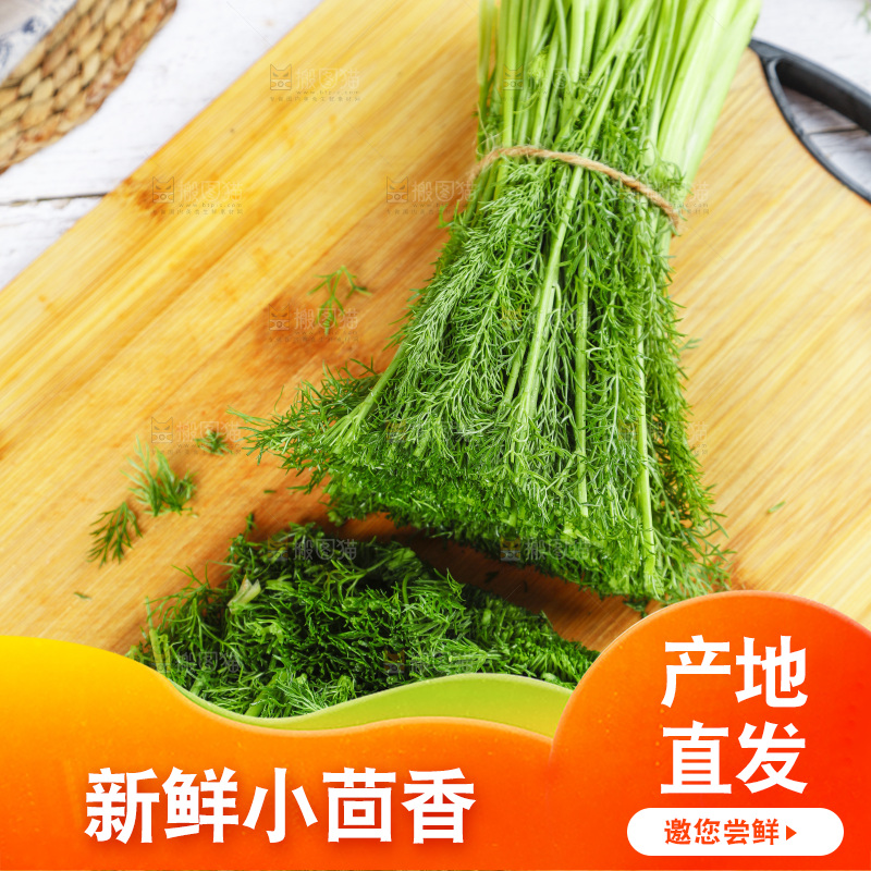木板上的土茴香