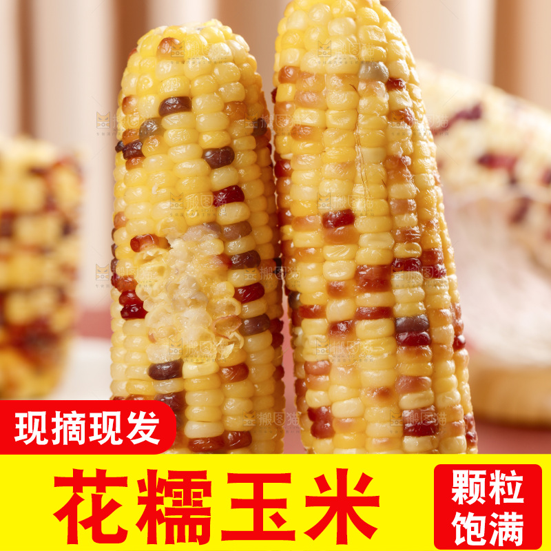 浅底上放着一盘熟花糯玉米