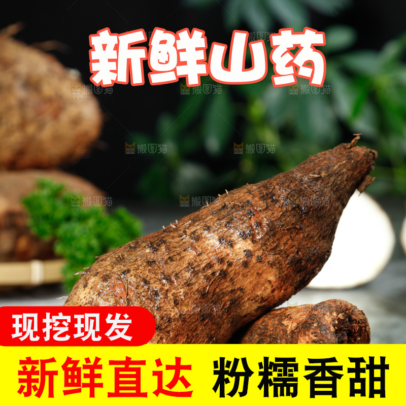 黑底上的金秤砣山药