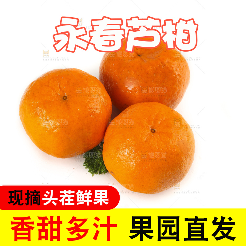 白底上摆放着福建永春芦柑
