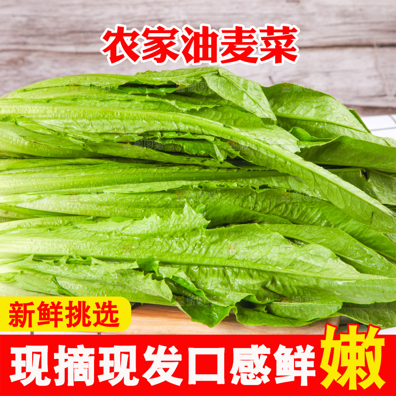 白格子底上放着新鲜油麦菜