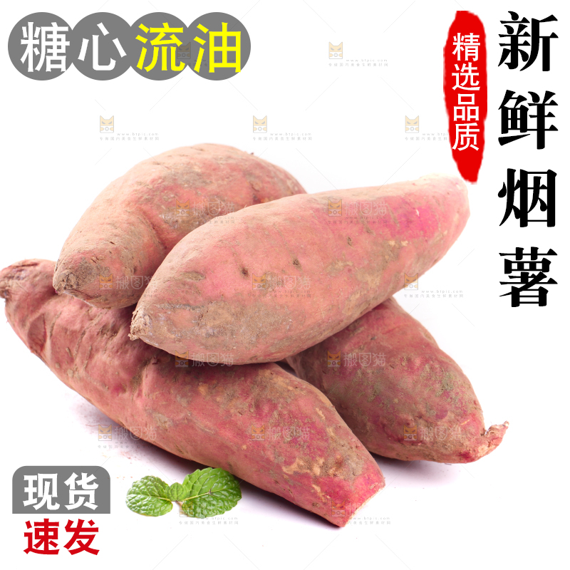 白底上蜜署
