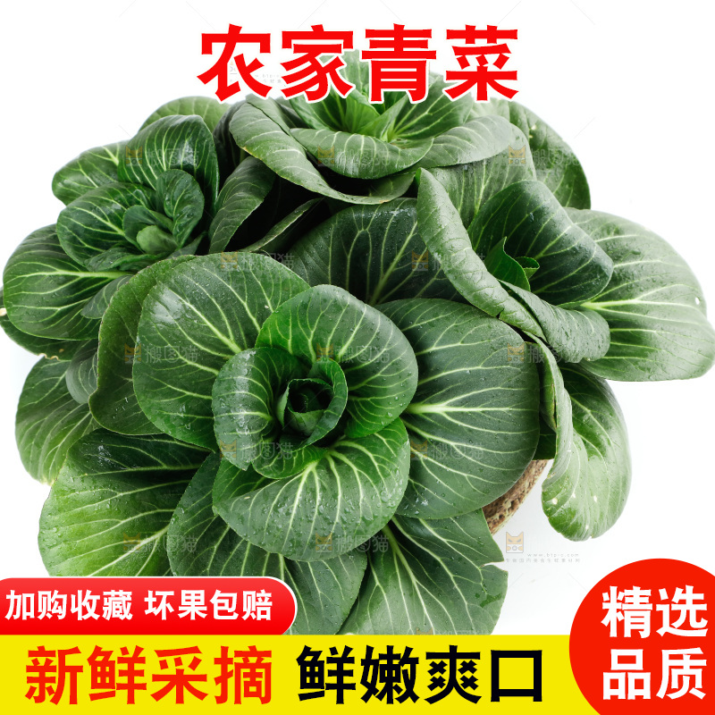 白底上的绿叶菜