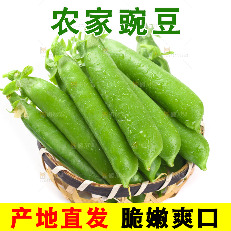 一筐新鲜豌豆放在白底上