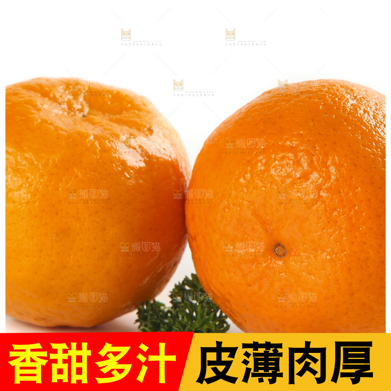 白底上摆放着福建永春芦柑