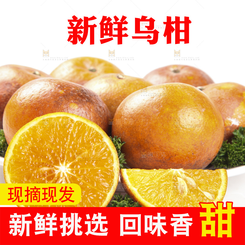 白底上放着新鲜乌柑