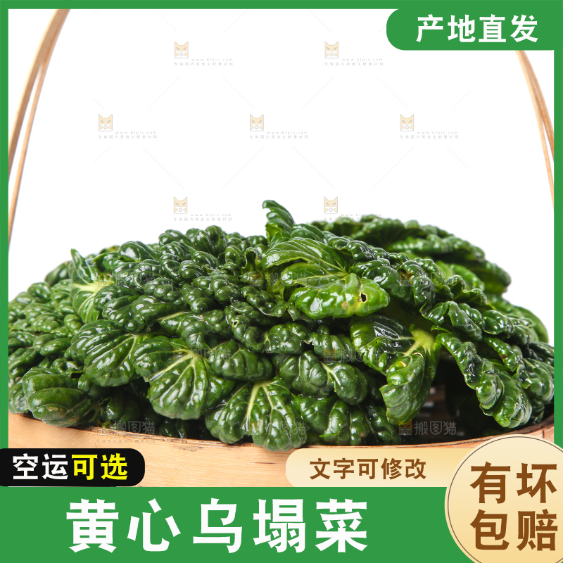 篮子里装着乌塌菜