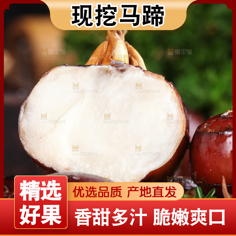 篮子里的红马蹄