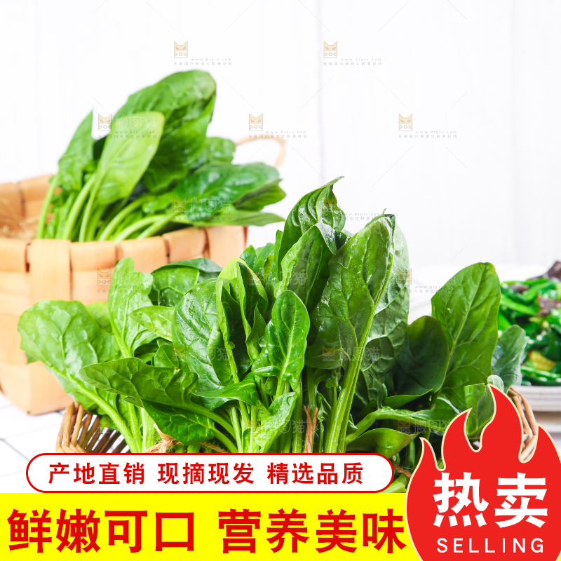 白格子底上的嫩菠菜