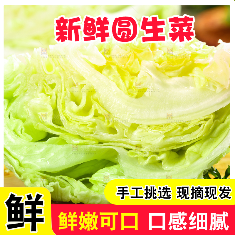 深底上的圆形生菜