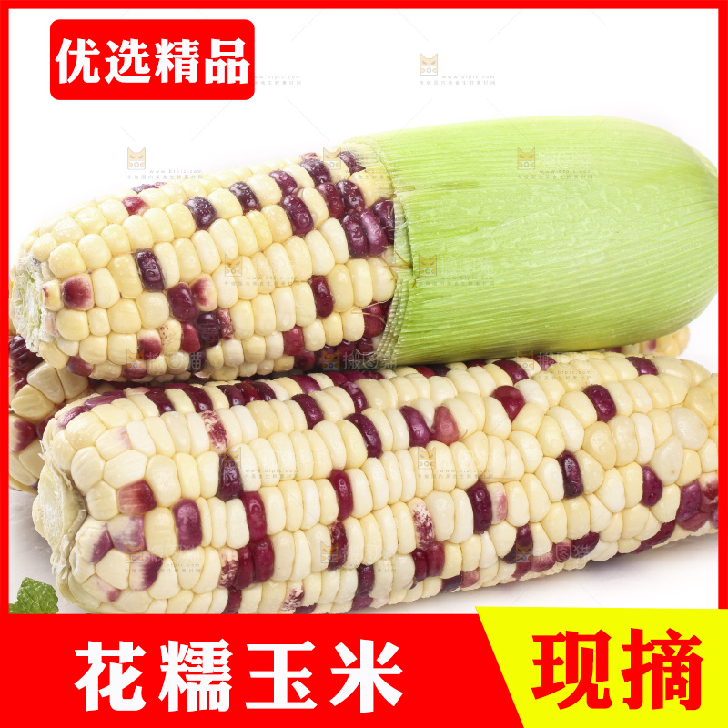 剥皮的花糯玉米放在白底上