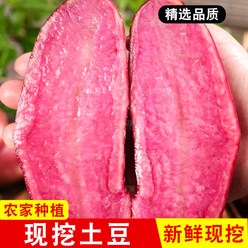 手里拿着云南红土豆