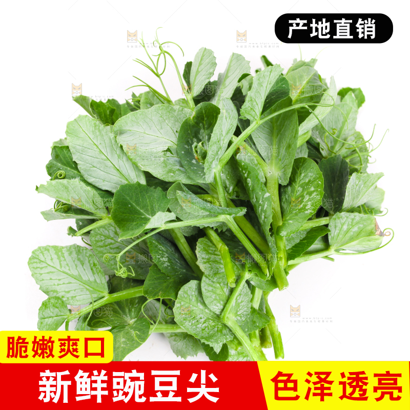 白底上摆放着新鲜豌豆苗