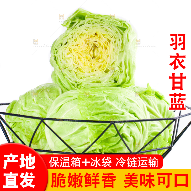 篮子里装绿甘蓝