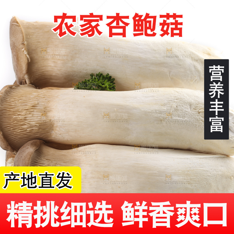 白底上放着大鸡腿菇
