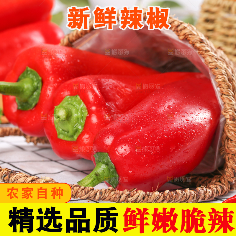 篮子里的新鲜红辣椒
