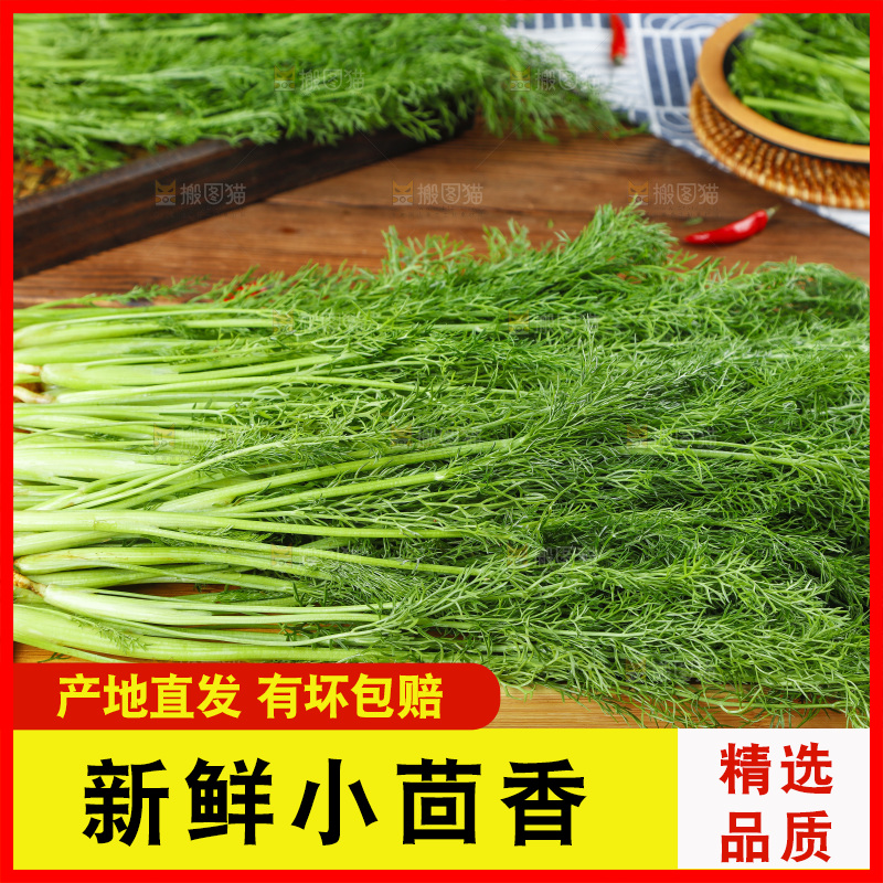 木板上的土茴香
