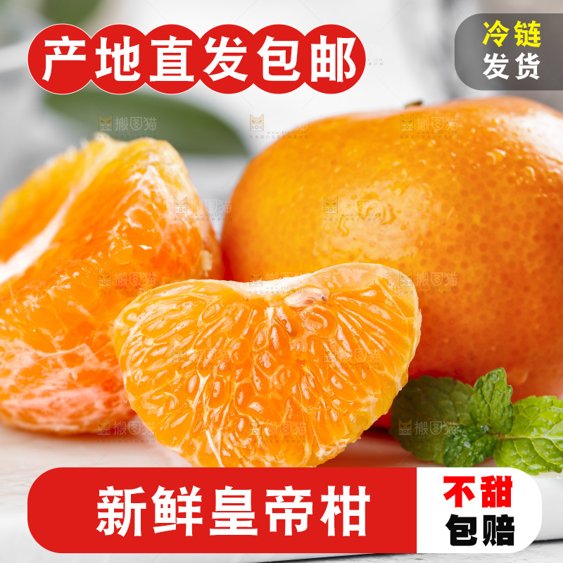石板上的广西皇帝柑