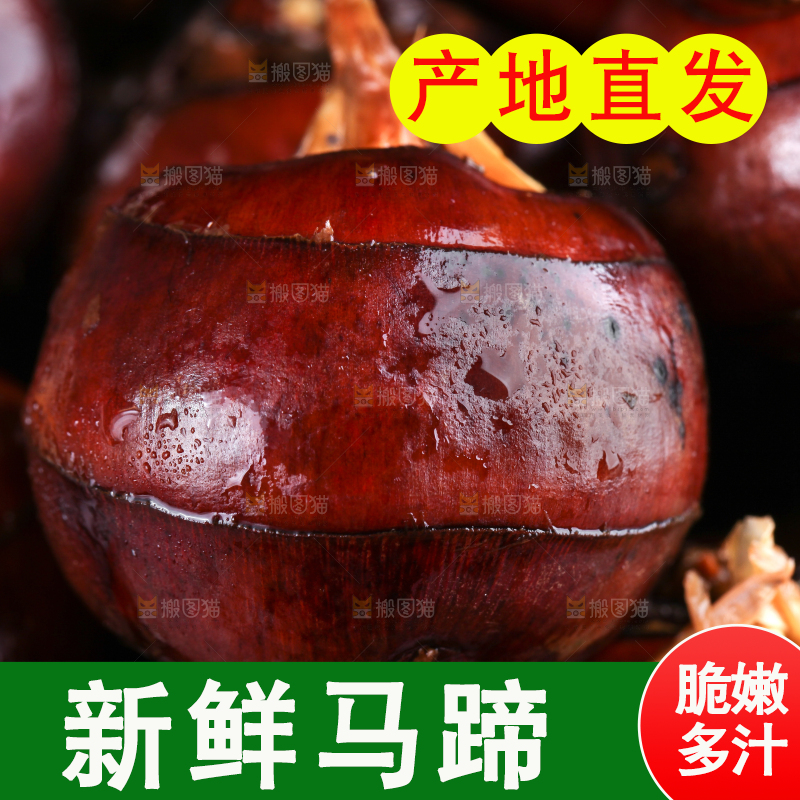 竹底上放着农家马蹄