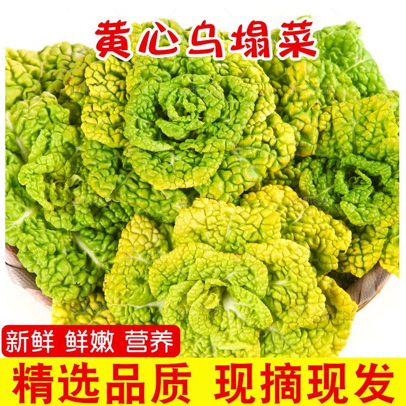 篮子里装着乌塌菜