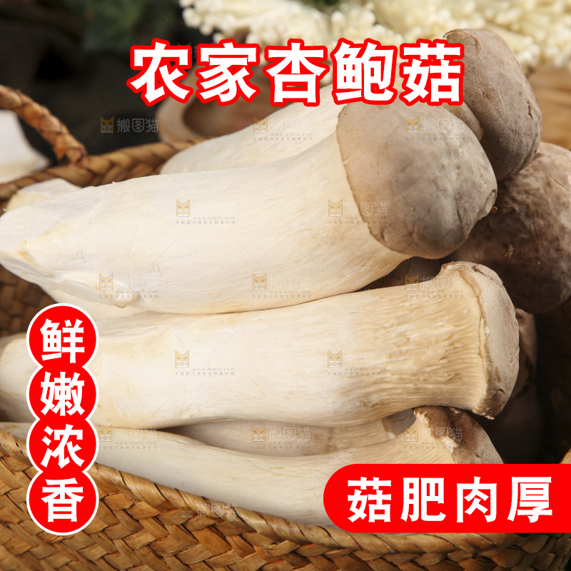 篮子里装着杏鲍菇