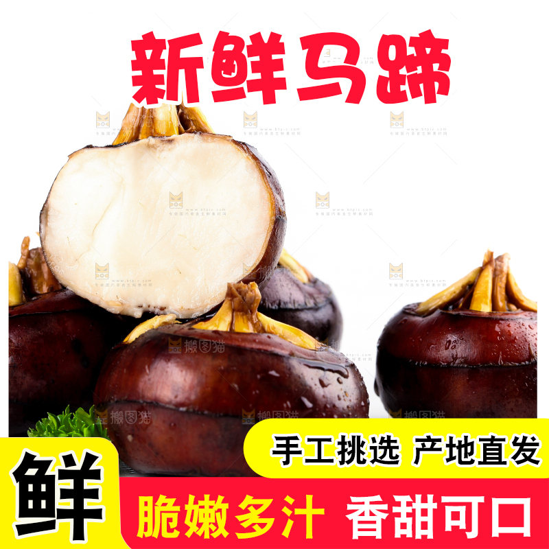 白底上摆放着乐昌北乡马蹄