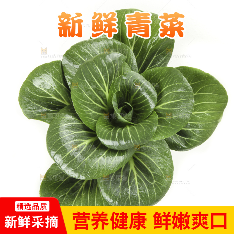 白底上放着上海青