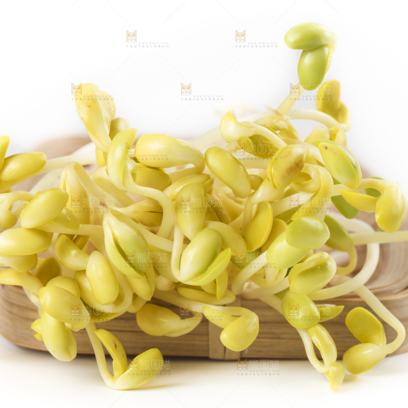 白底上的豆芽
