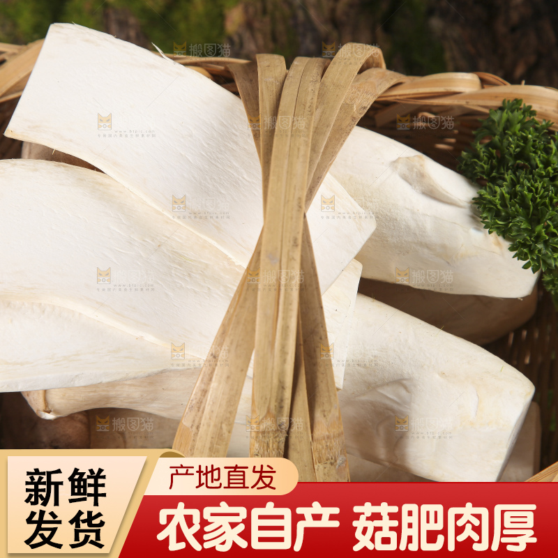篮子里放着大鸡腿菇