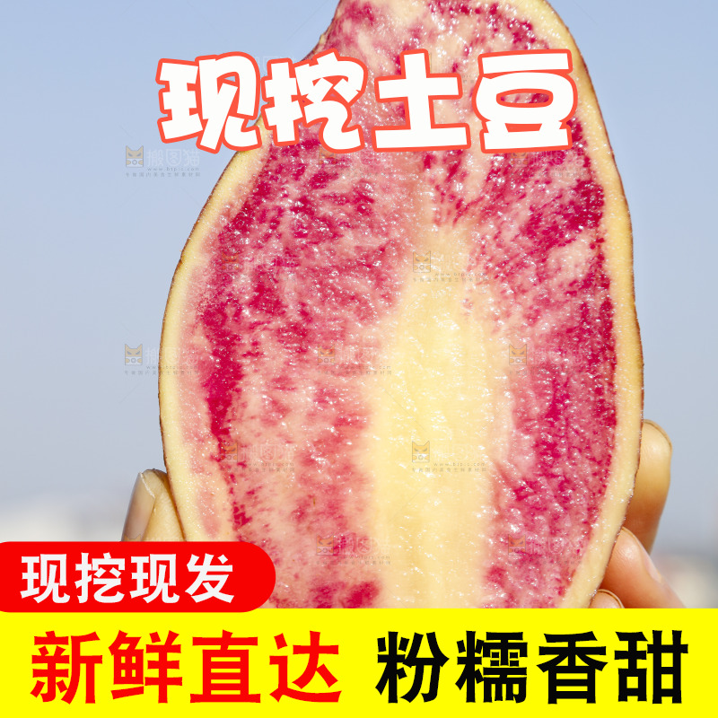 手里拿着丽江七彩土豆