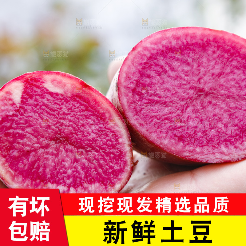 手里拿着新鲜红土豆