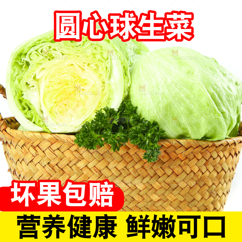 篮子里装着农家圆生菜