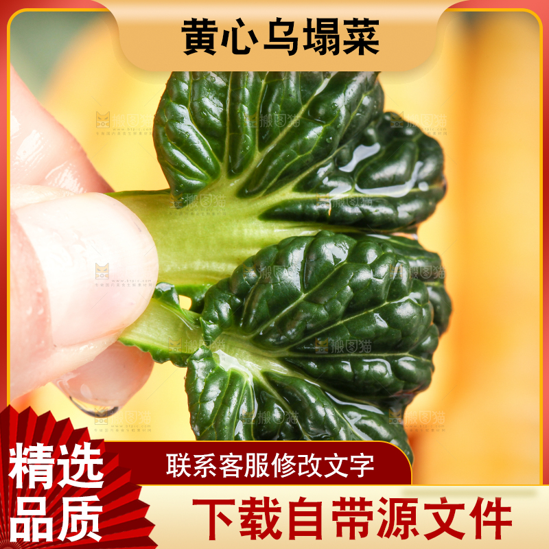 手里拿着青菜