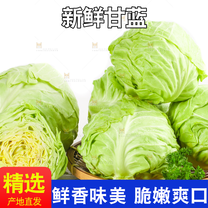 篮子里装绿甘蓝
