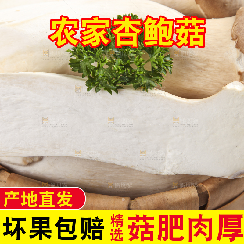篮子里放着大鸡腿菇