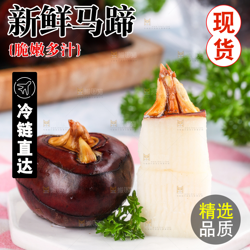 彩底上的马蹄果