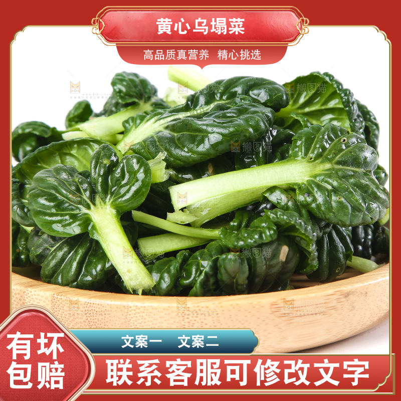 白底上的菊花菜