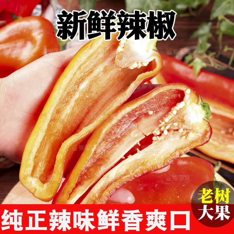 手里拿着新鲜红辣椒