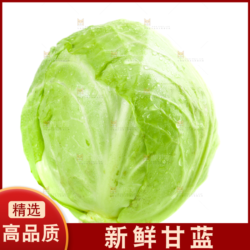 白底上摆放着包菜