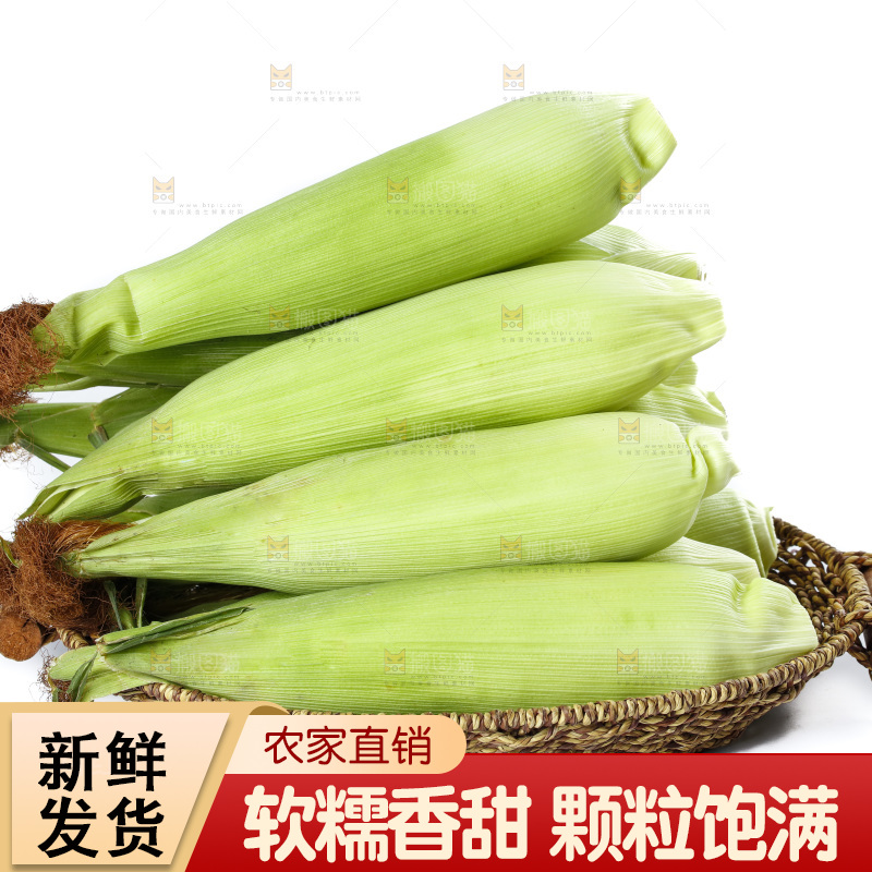 白底上放着一盘花糯玉米
