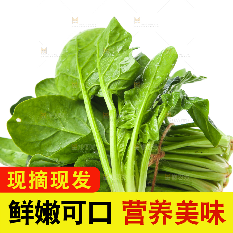 白底上放着菠菜
