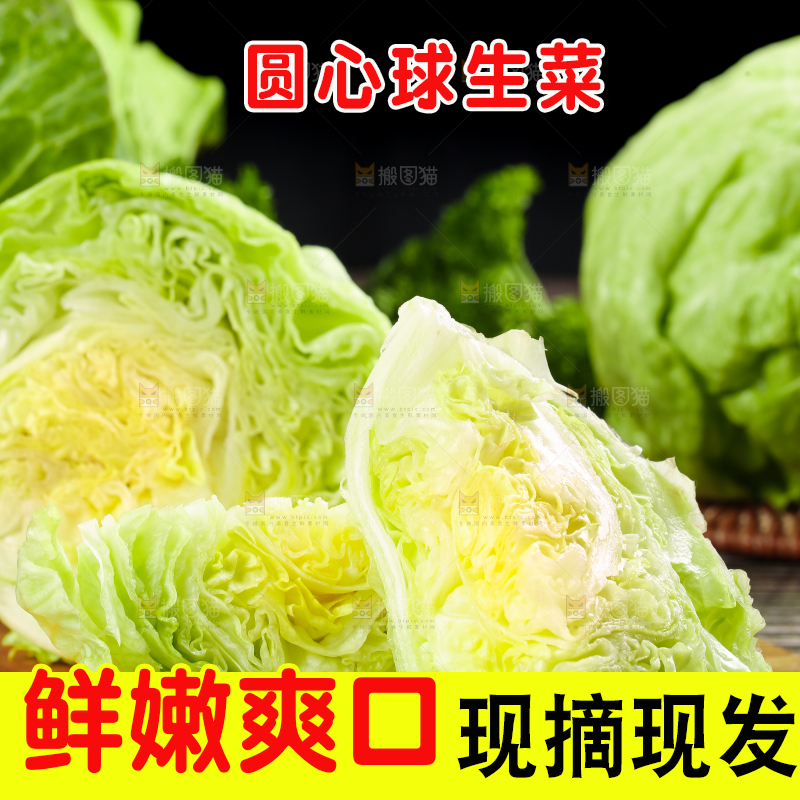深底上的圆形生菜