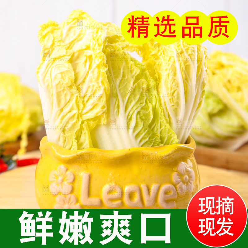 木板上放着高山娃娃菜