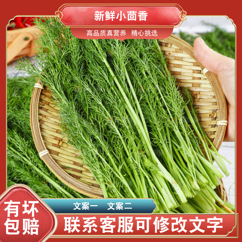 篮子里装着新鲜茴香菜