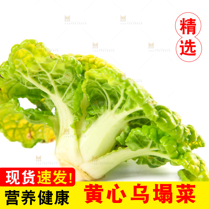 白底上摆放着黄心白菜