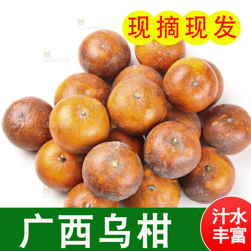 白底上摆放着乌柑