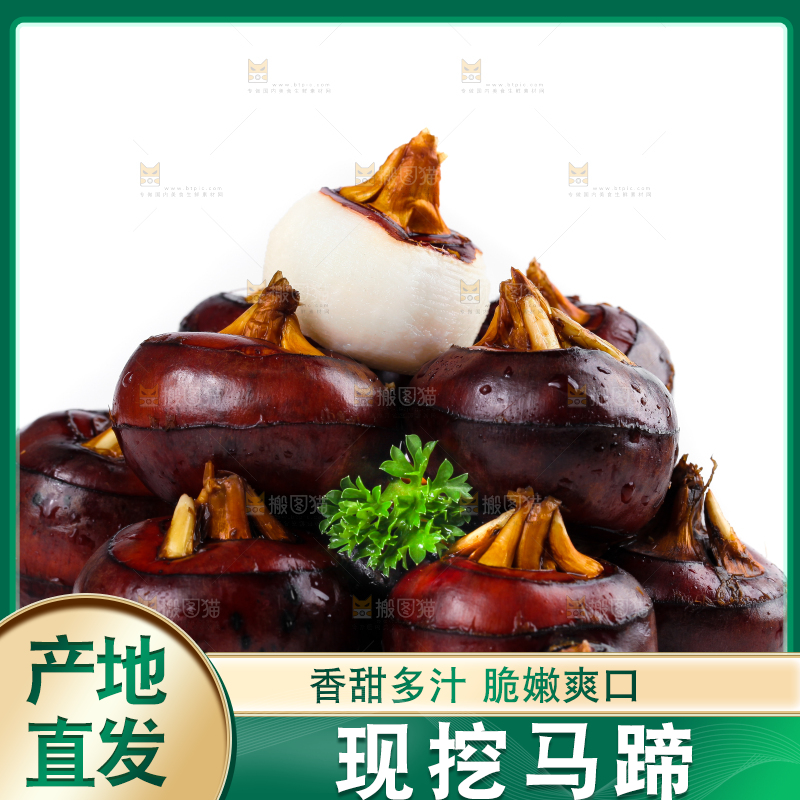 白底上摆放着乐昌北乡马蹄