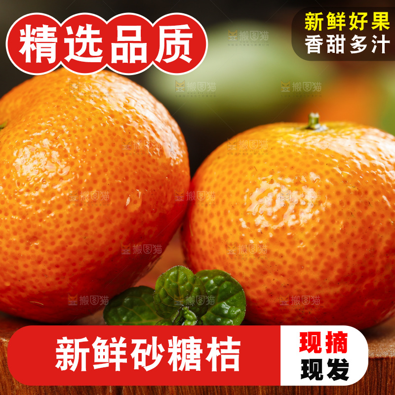木底上的砂糖橘