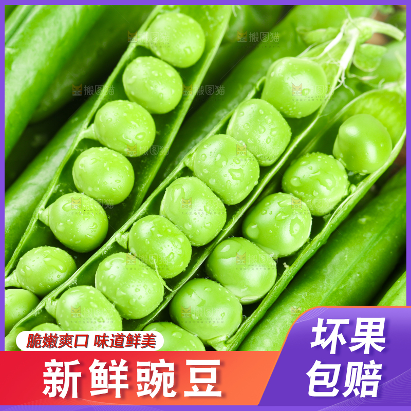 黑底上的青豌豆