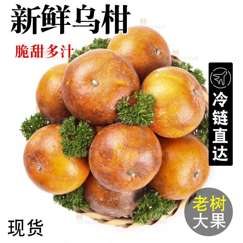 篮子里的广西乌柑